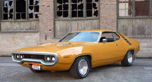 suesroadrunner.jpg