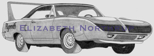 70superbirden2.jpg